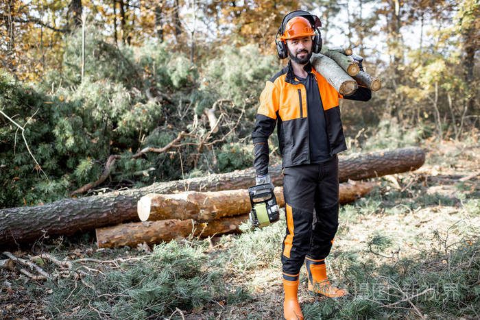 Job Openings For Tree Cutters in the Solihull/Birmingham Area